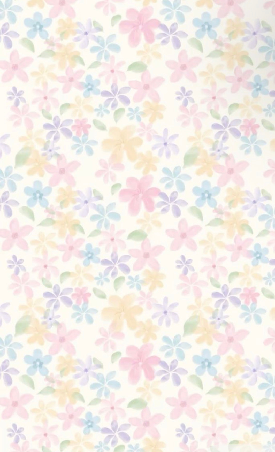 Megan's Learning Journey